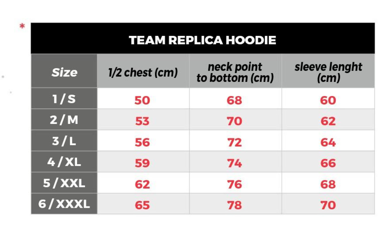 TEAM REPLICA HOODIE