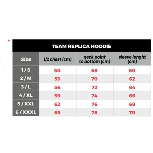 TEAM REPLICA HOODIE