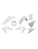 BOX KIT BETA XT 20- WHITE INC FORKS